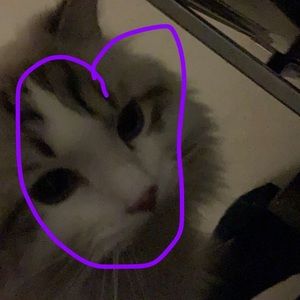 Meet your Posher, Katherine